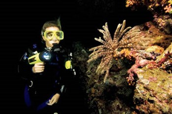 Specialty courses 3 dives program